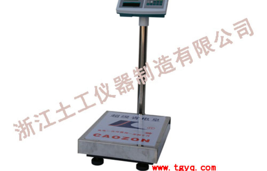 Electronic Scale